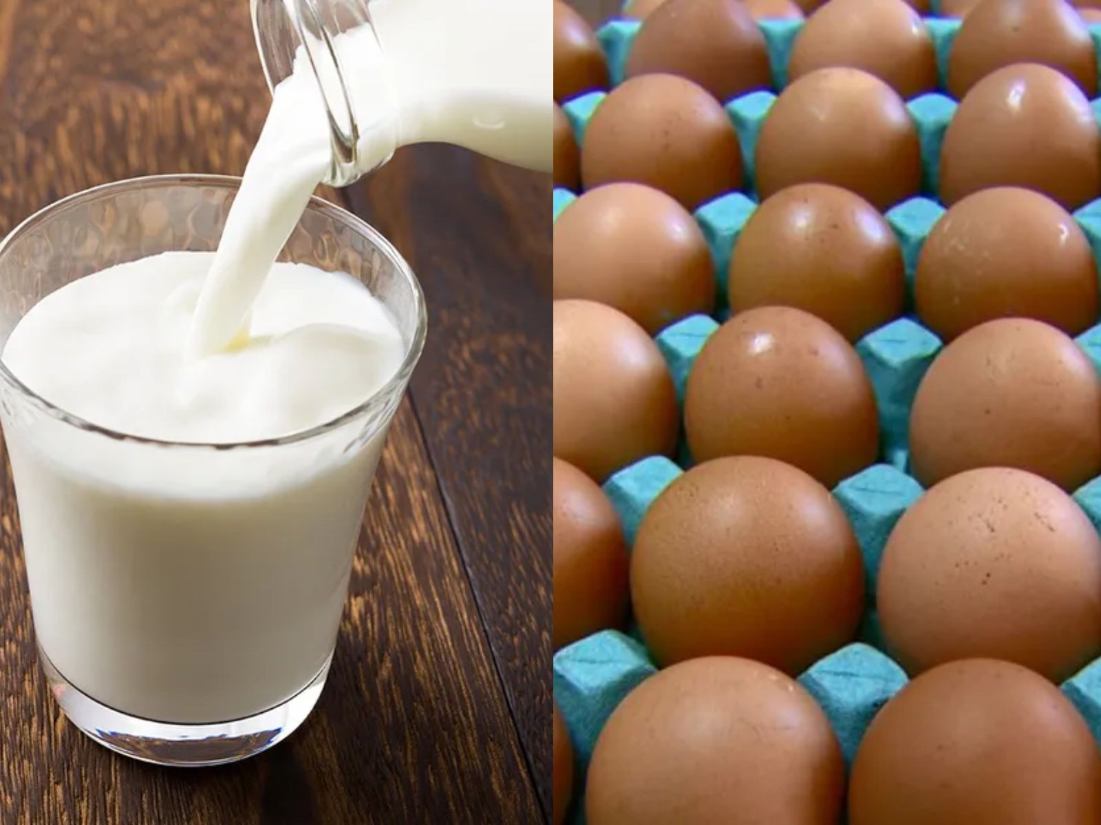 foto Notícia Tarauacá