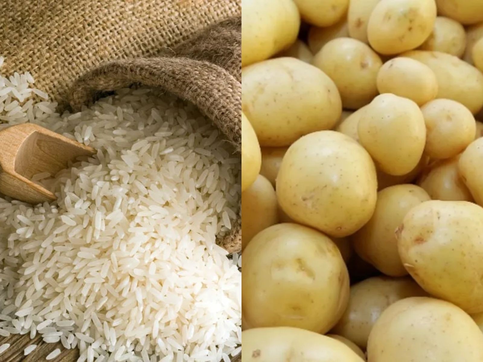 foto Notícia Tarauacá