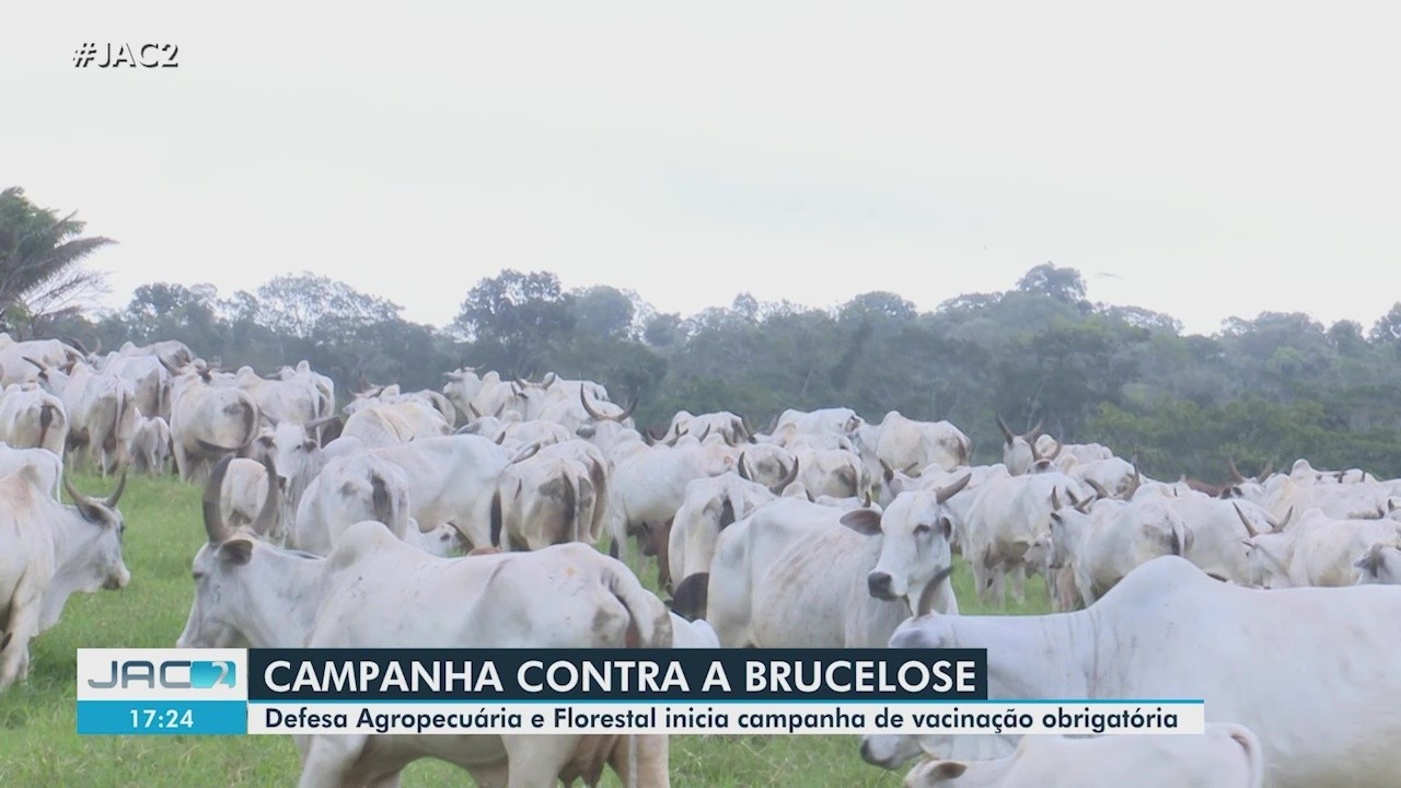 foto Not&iacute;cia Tarauacá