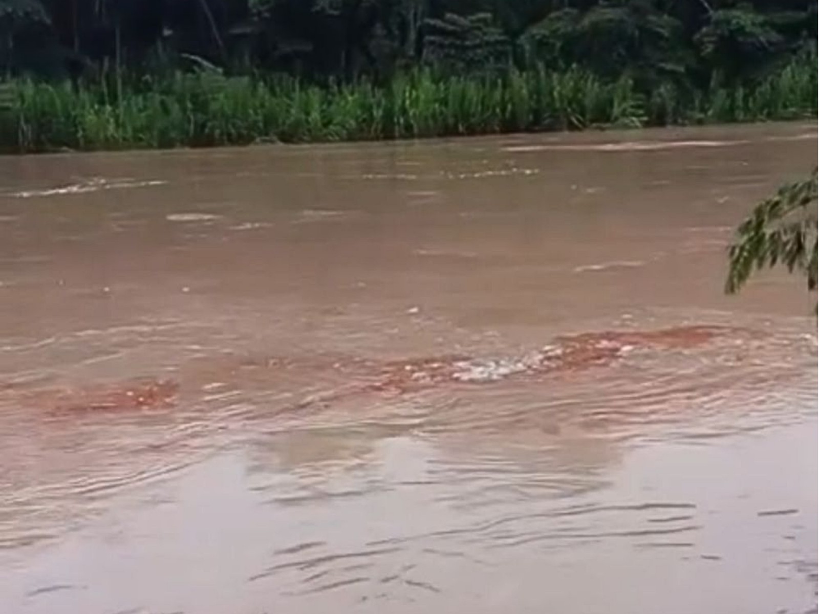 foto Not&iacute;cia Tarauacá