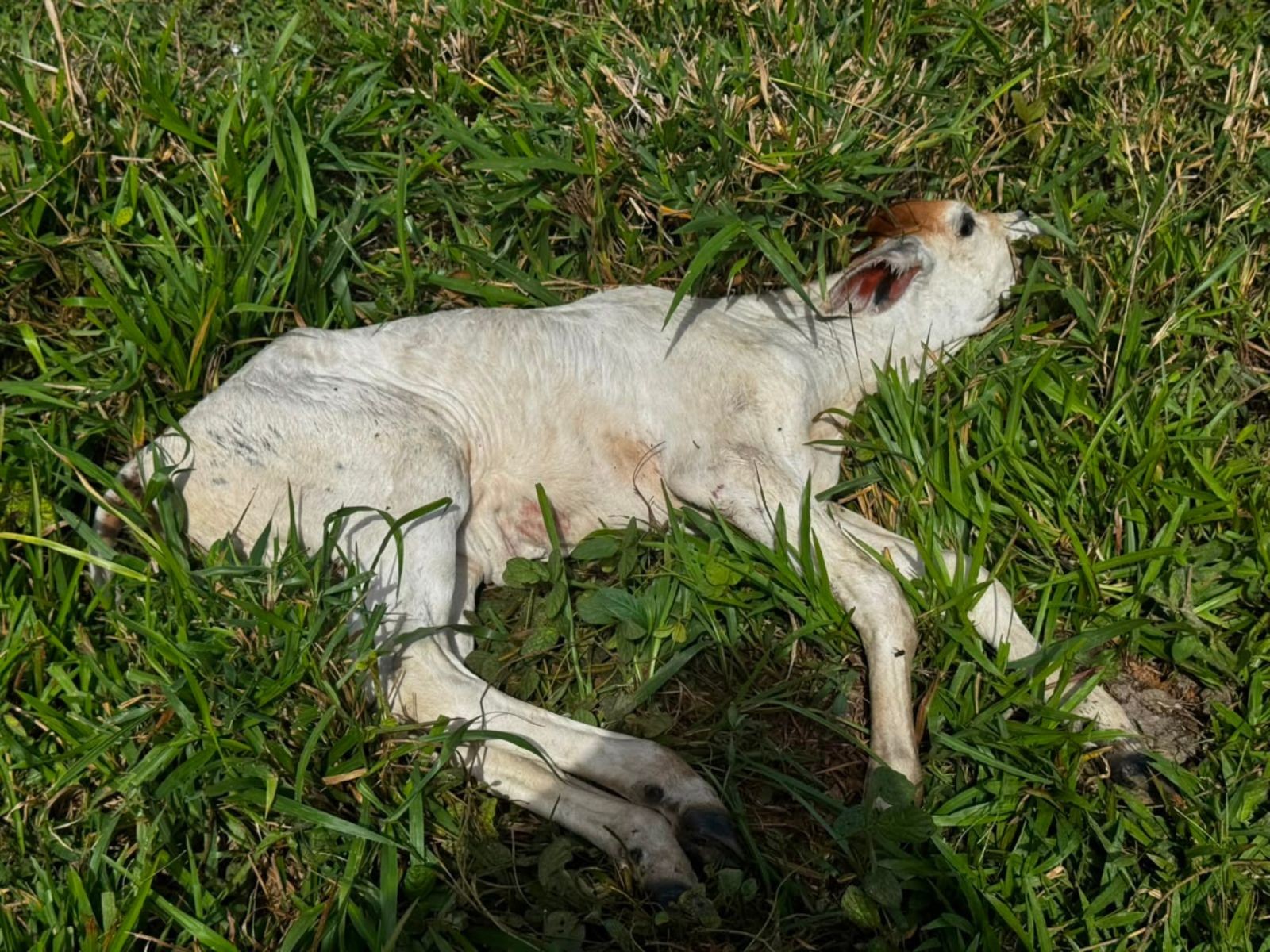 foto Not&iacute;cia Tarauacá