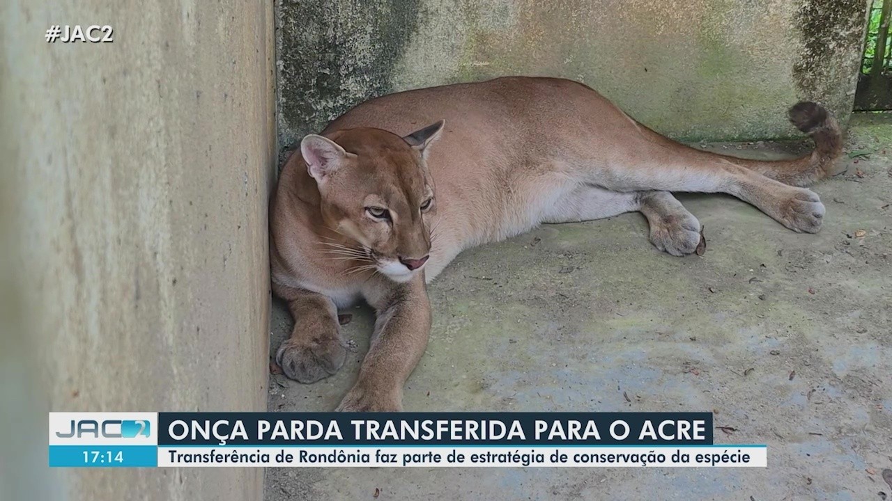 foto Not&iacute;cia Tarauacá